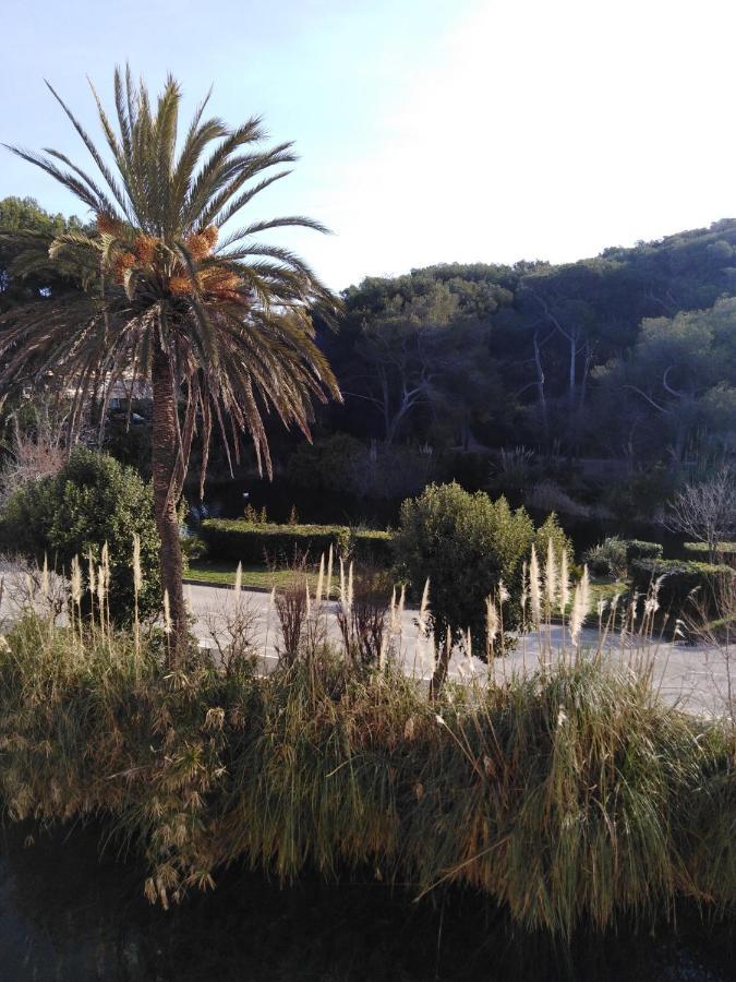 Appartement T2 Avec Piscine A 100 M De La Plage Six-Fours-les-Plages Buitenkant foto