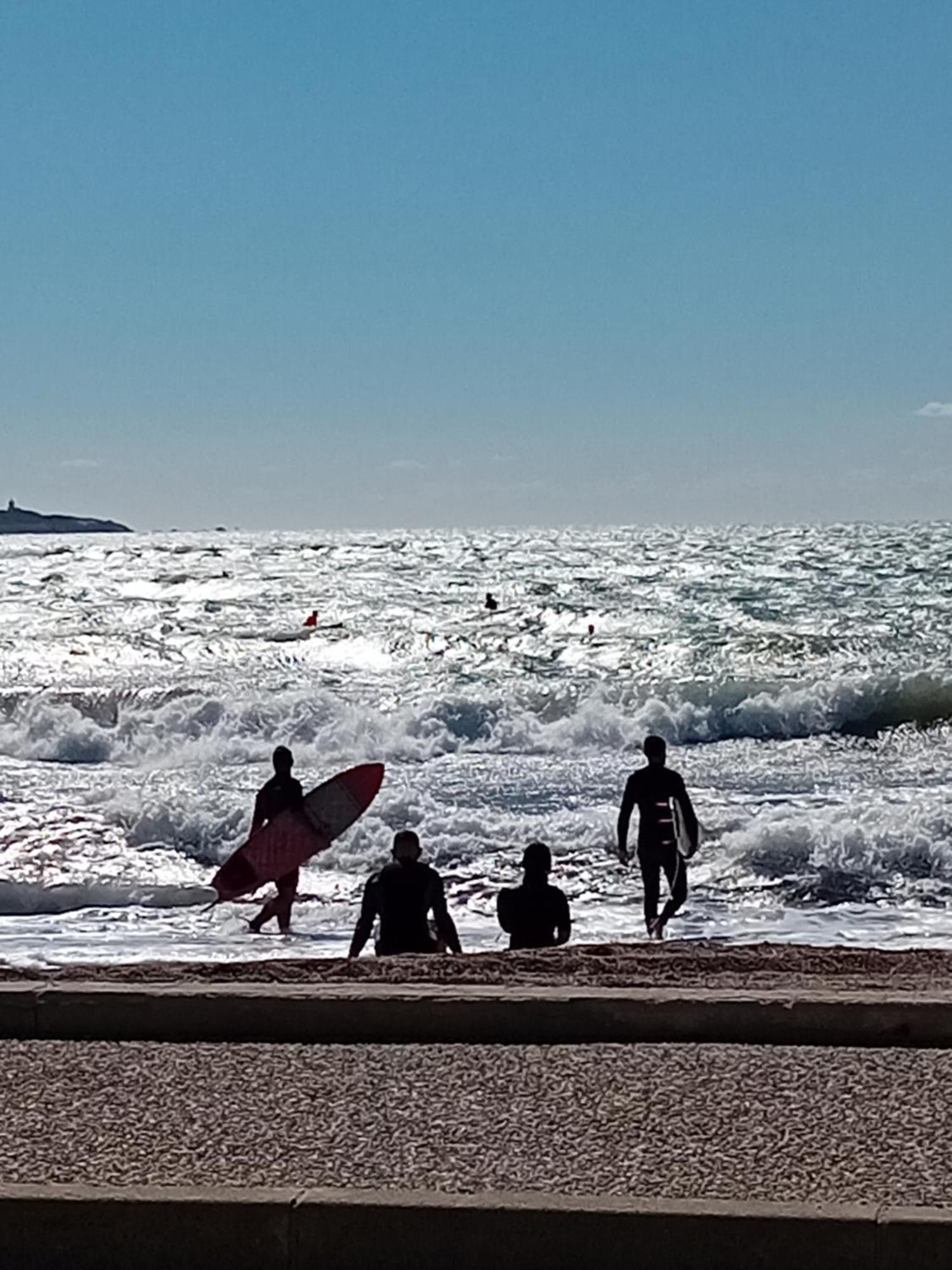 Appartement T2 Avec Piscine A 100 M De La Plage Six-Fours-les-Plages Buitenkant foto